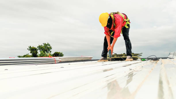 Best Roof Leak Repair  in Wallace, NC