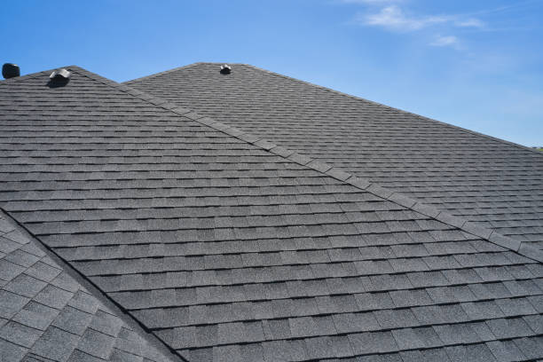 Roof Moss and Algae Removal in Wallace, NC