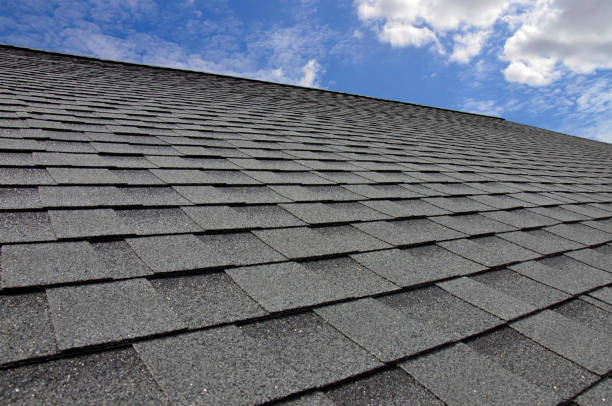 Best 4 Ply Roofing  in Wallace, NC